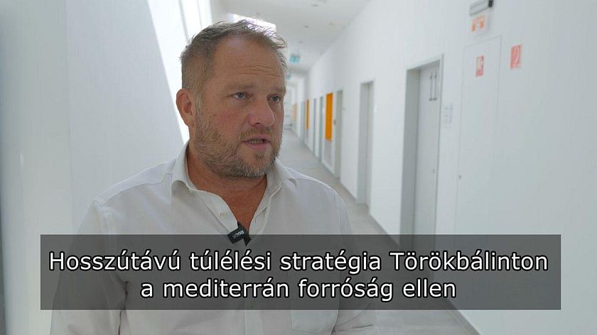 Hosszú távú túlélési stratégia Törökbálinton a mediterrán forróság ellen