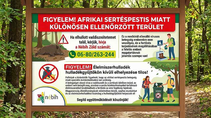 Tájékoztatás az afrikai sertéspestis elleni fokozott védekezésről